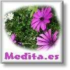MP3 descargas